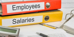 PAYE, Payroll, HMRC , stanley carter